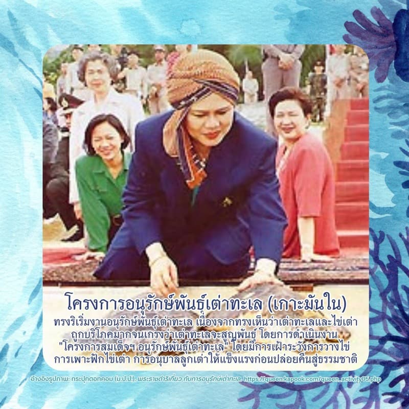 พระราชกรณียกิจด้านการฟื้นฟูทะเลและชายฝั่ง