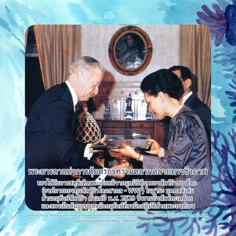 พระราชกรณียกิจด้านการฟื้นฟูทะเลและชายฝั่ง